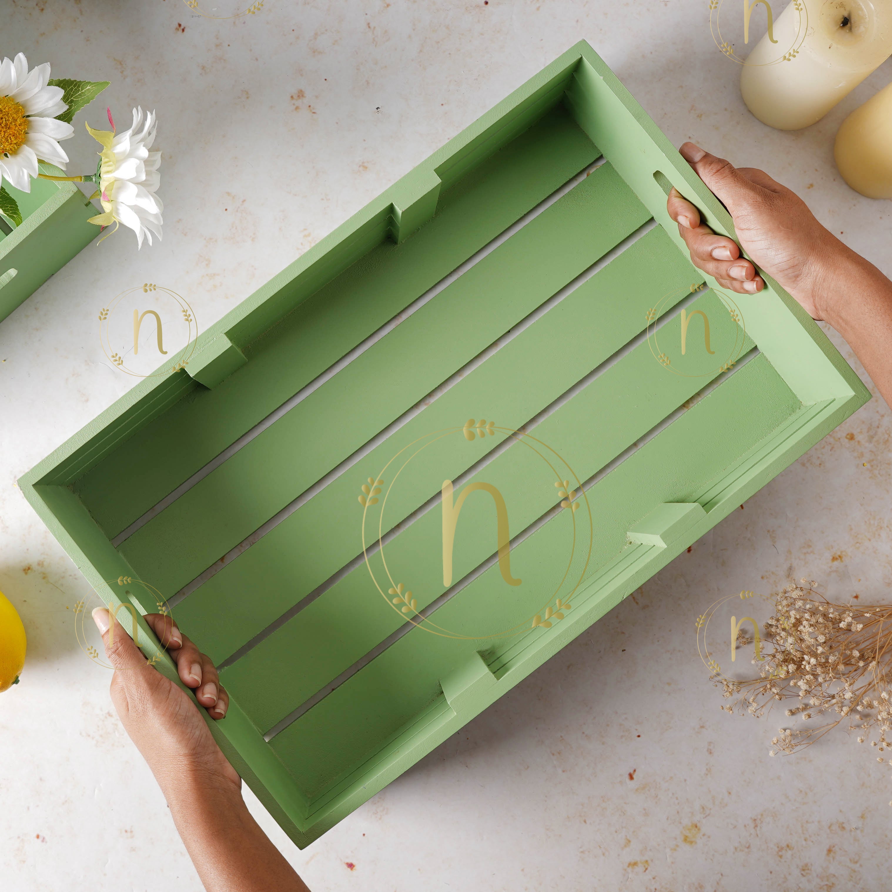 Vegetable Storage Box