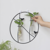 Wall Planter - Wall planter for home decor | Living room, bathroom & bedroom decoration ideas