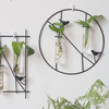 Wall Planter - Wall planter for home decor | Living room, bathroom & bedroom decoration ideas