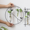 Wall Planter - Wall planter for home decor | Living room, bathroom & bedroom decoration ideas