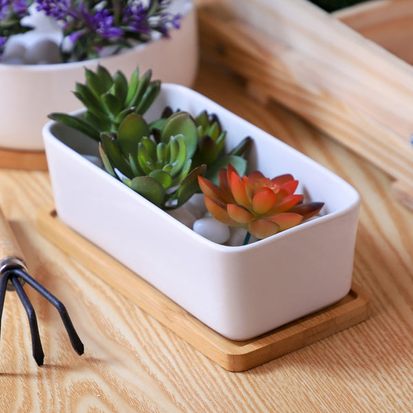 White Plant Pot - Indoor planters and flower pots | Home decor items