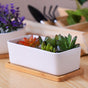 White Plant Pot - Indoor planters and flower pots | Home decor items