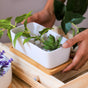 White Plant Pot - Indoor planters and flower pots | Home decor items