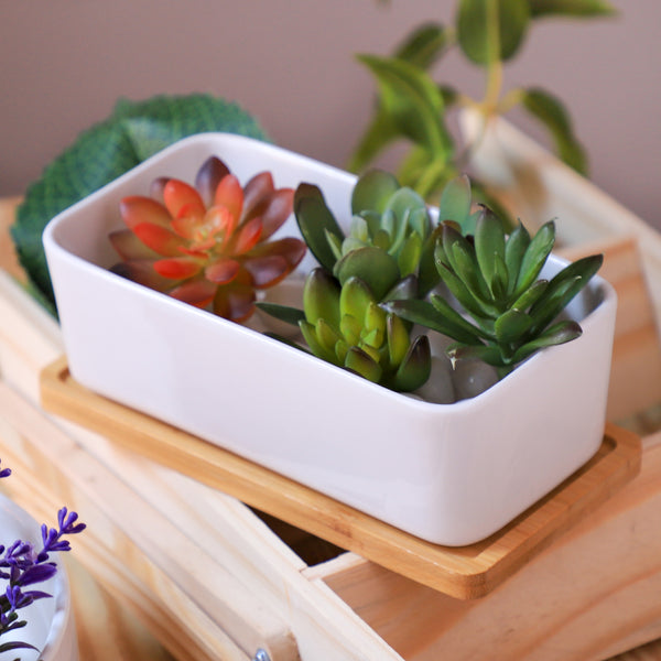 White Plant Pot - Indoor planters and flower pots | Home decor items