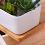 White Plant Pot - Indoor planters and flower pots | Home decor items