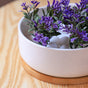 White Plant Pot - Indoor planters and flower pots | Home decor items