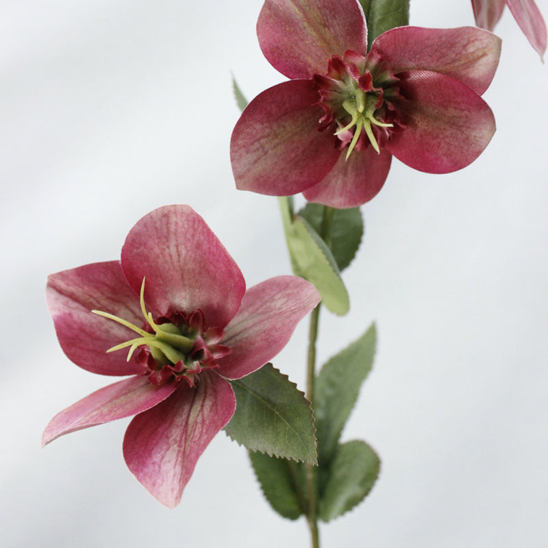 Wild Rose - Artificial flower | Flower for vase | Home decor item | Room decoration item