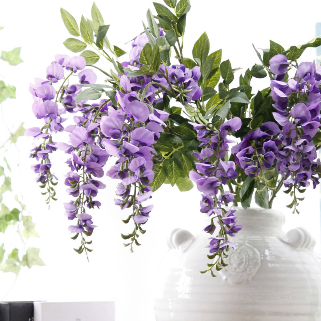 Shop wisteria clearance