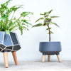 Indoor Plant Stand - Plant pot and plant stands | Room decor items