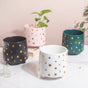 Stars and Moons White Ceramic Planter Large - Indoor planters and flower pots | Home decor items