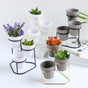 Planter Set of 3 - Indoor plant pots and flower pots | Home decoration items