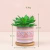 Desk Planter - Indoor planters and flower pots | Home decor items