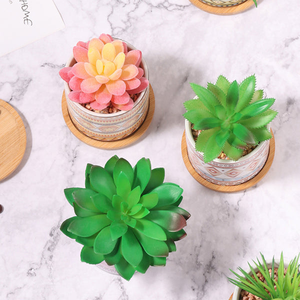 Desk Planter - Indoor planters and flower pots | Home decor items