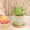 Desk Planter - Indoor planters and flower pots | Home decor items