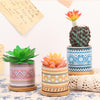 Desk Planter - Indoor planters and flower pots | Home decor items