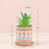 Desk Planter - Indoor planters and flower pots | Home decor items