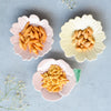 Floral Plate - Bowl,ceramic bowl, snack bowls, curry bowl, popcorn bowls | Bowls for dining table & home decor