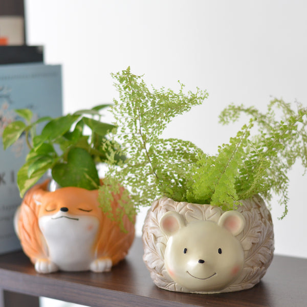 Hedgehog Planter - Indoor planters and flower pots | Home decor items