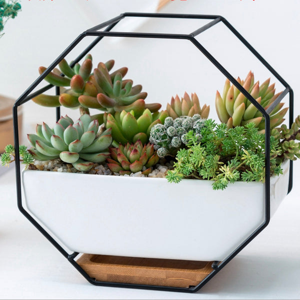 Hexagon Planter - Indoor planters and flower pots | Home decor items