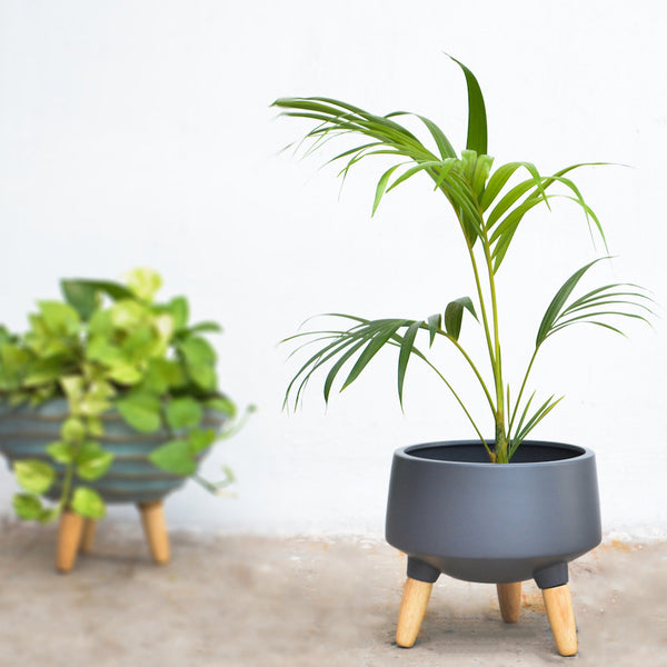 Indoor Plant Stand - Plant pot and plant stands | Room decor items