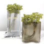 Small Contemporary Glass Vase - Flower vase for home decor, office and gifting | Home decoration items