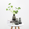 Narrow Flower Vase - Flower vase for home decor, office and gifting | Home decoration items