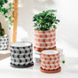 Textured Plant Pot Small - Indoor planters and flower pots | Home decor items