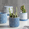 Round Geometric Floral Pot With Plate - Indoor planters and flower pots | Home decor items