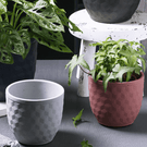 3D Hexagonal Pot