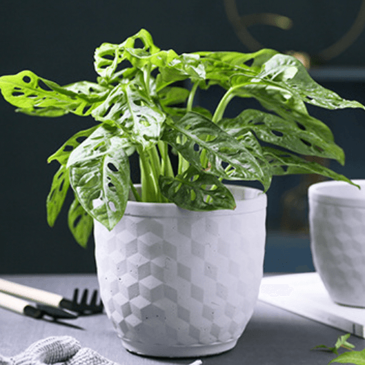 3D Hexagonal Pot - Indoor planters and flower pots | Home decor items