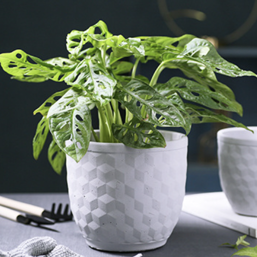 Hexagon Textured Pot - Indoor planters and flower pots | Home decor items