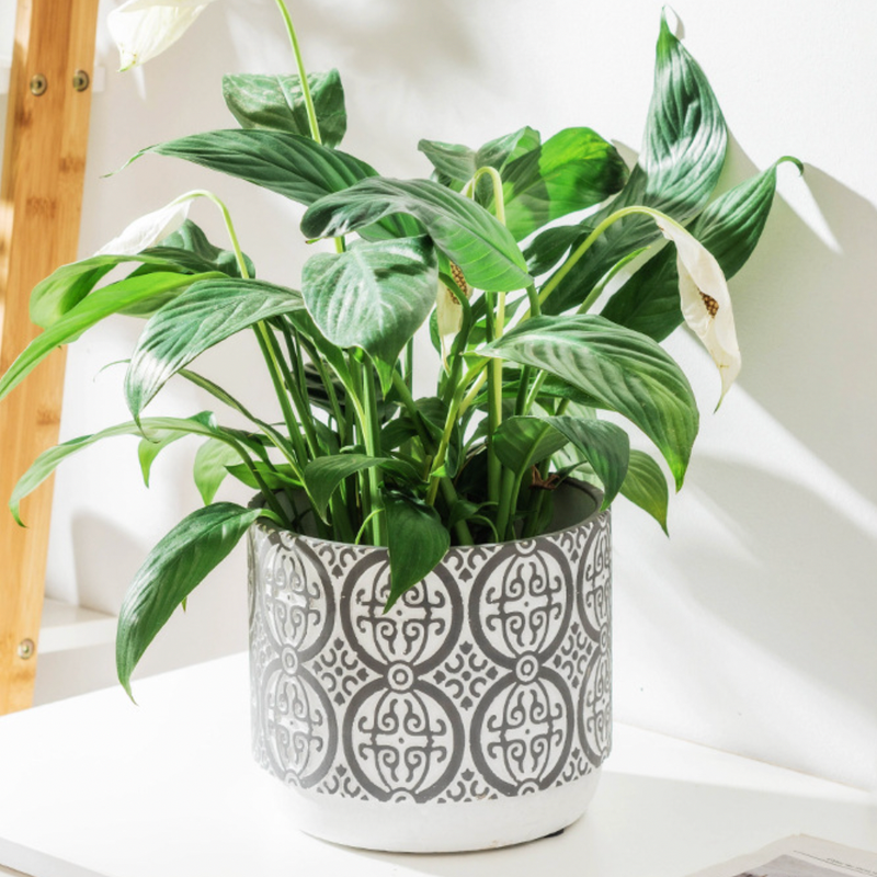 Round Pattern Pot Small - Indoor planters and flower pots | Home decor items