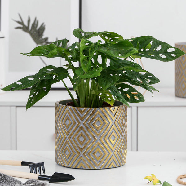 Golden Plant Pot Medium - Indoor planters and flower pots | Home decor items