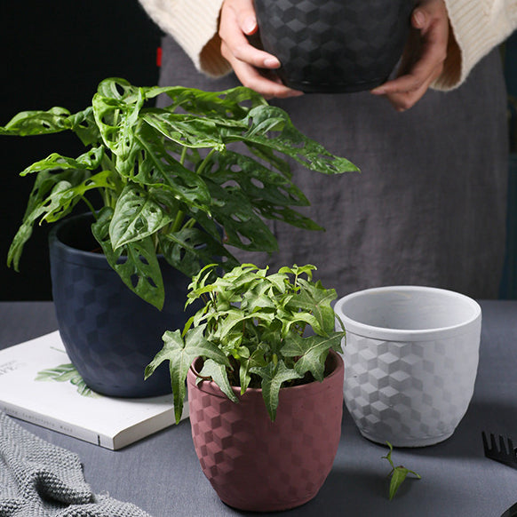 Hexagon Textured Pot - Indoor planters and flower pots | Home decor items