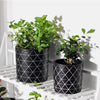 Black and White Plant Pot Large - Indoor planters and flower pots | Home decor items