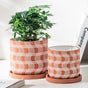 Textured Plant Pot Small - Indoor planters and flower pots | Home decor items