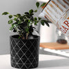 Black and White Plant Pot Large - Indoor planters and flower pots | Home decor items