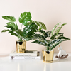 Gold Plant Pot - Indoor planters and flower pots | Home decor items