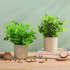 Artificial Potted Plant - Artificial Plant | Flower for vase | Home decor item | Room decoration item