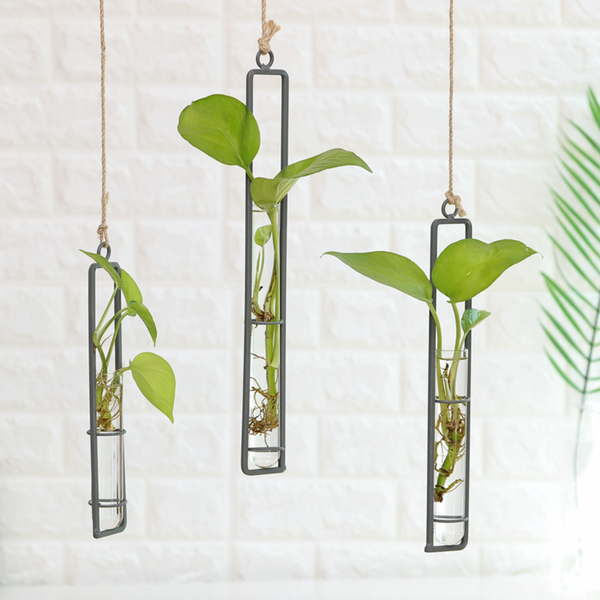 Hanging Flower Vase-Large - Wall planter for home decor | Living room, bathroom & bedroom decoration ideas