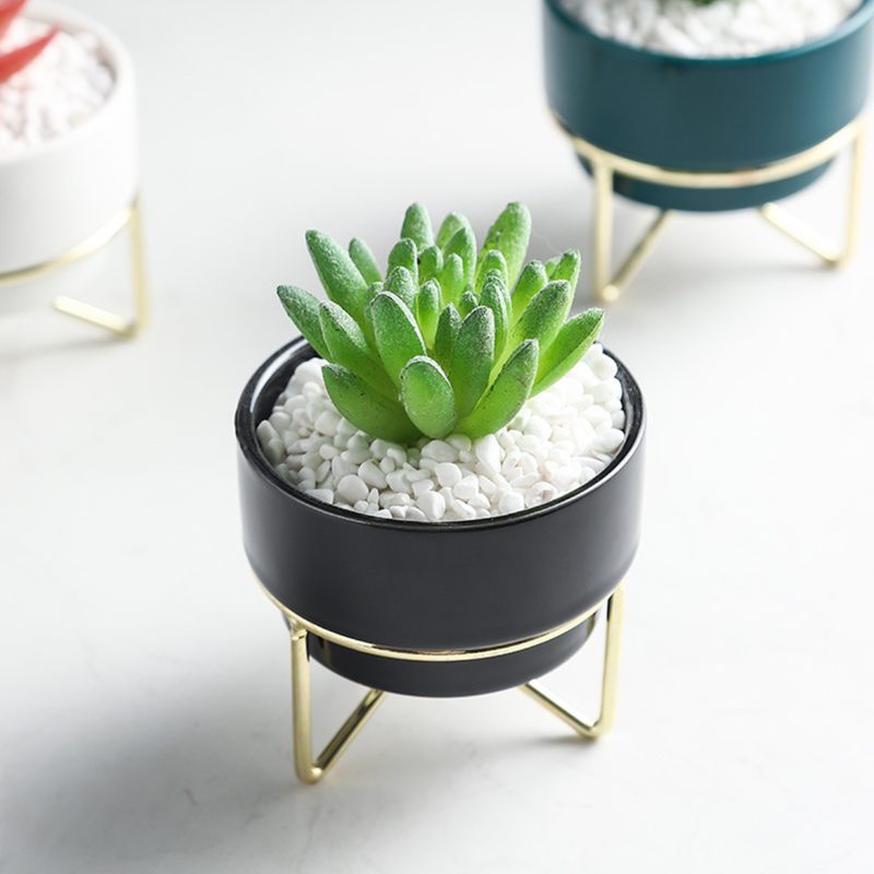 Small Flower Pot - Indoor planters and flower pots | Home decor items