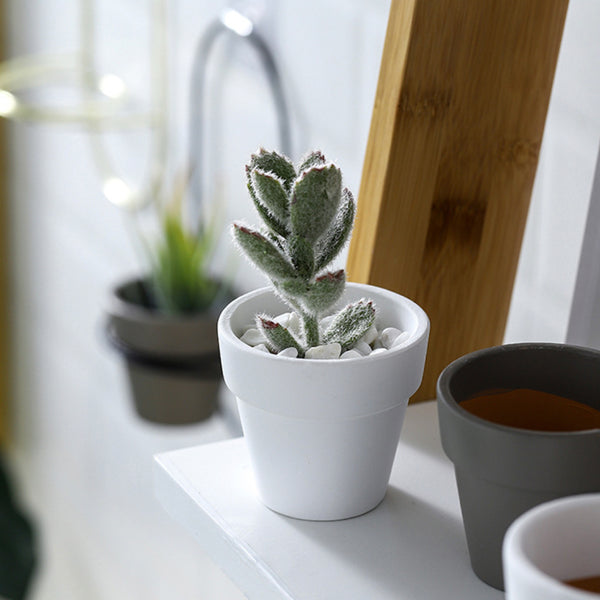 Flowering Pots with Handles - Indoor planters and flower pots | Home decor items