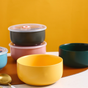 Colorful Bowl With Lid - Lunch box