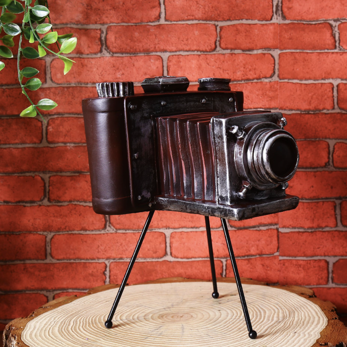 Early Large Polaroid Camera Circa 1948-1959 Display Cameras, Set of 10, for  Your Own Decorative Display | Chairish
