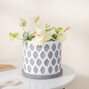 Grey Scalloped Plant Pot With Plate - Indoor planters and flower pots | Home decor items