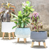 Planter with Legs - Indoor plant pots and flower pots | Home decoration items