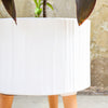 Planter with Legs - Indoor plant pots and flower pots | Home decoration items