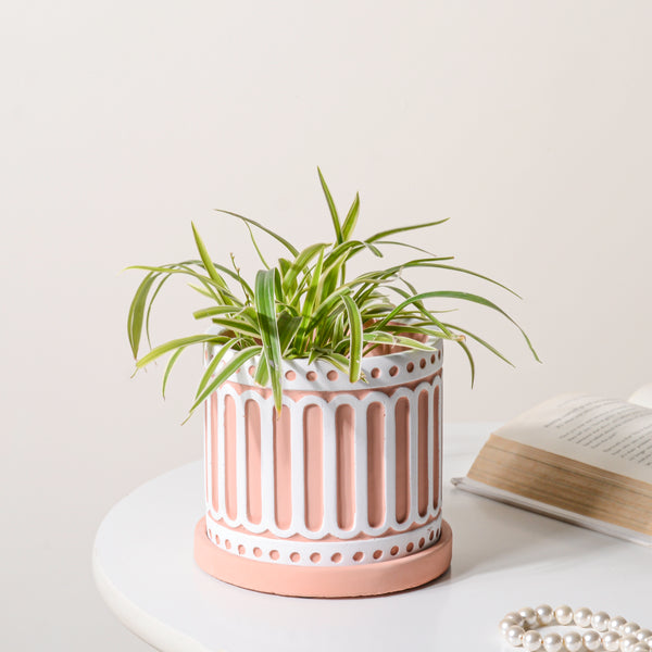 Orange And White Planter Pot - Indoor plant pots and flower pots | Home decoration items