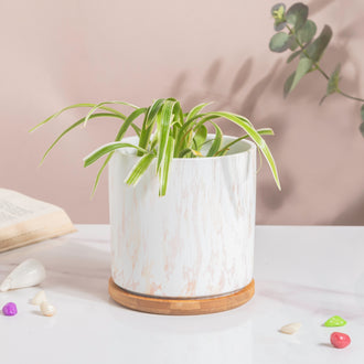 Carrara White And Brown Ceramic Planter With Wooden Coaster - Indoor planters and flower pots | Home decor items