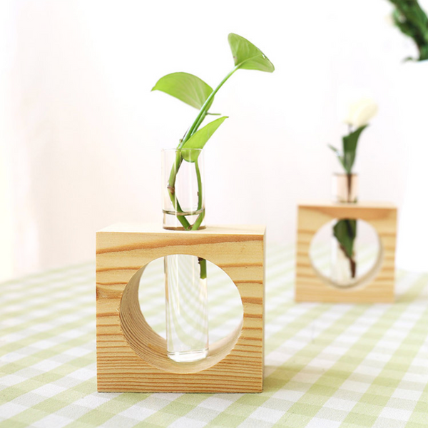 Test Tube Planter - Indoor planters and flower pots | Home decor items